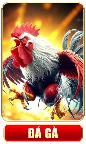 icon đá gà